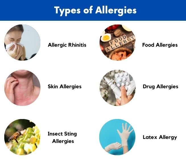 Different types of allergies including allergic rhinitis, food allergy, skin allergy, drug allergy, insect sting allergy and latex allergy